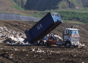 Read more about the article Benefits of Eco-Friendly Junk Removal Services
