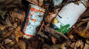 Read more about the article How Overflowing Garbage Can Affect Your Health
